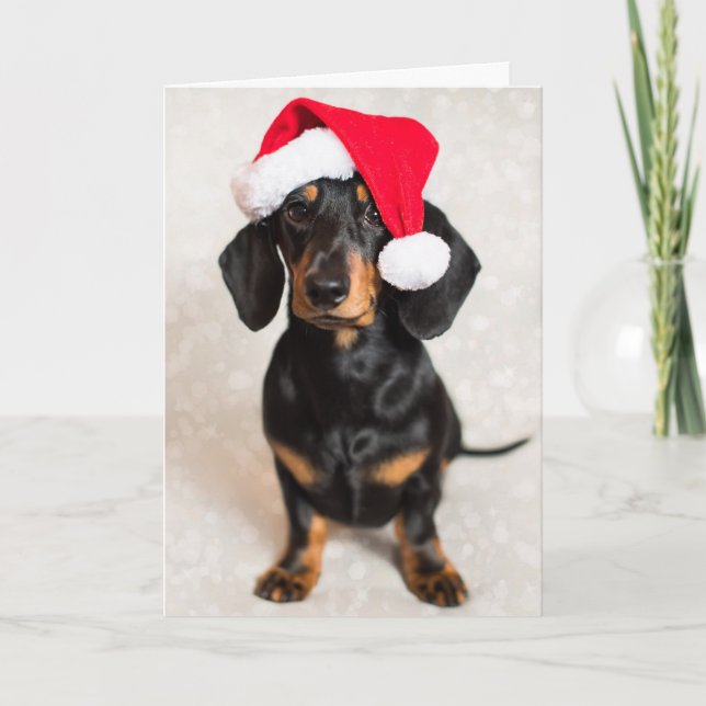 Cartes Pour Fêtes Annuelles Cute Sparkle Dachshund Chiot en Casquette de Noël (Devant)