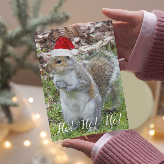 Cartes Pour Fêtes Annuelles Cute Squirrel Portant Père Noël Casquette Holiday (In Situ)