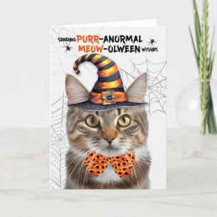 Cartes Pour Fêtes Annuelles Cute Tabby Halloween Chat PURRanormal MEOWolween