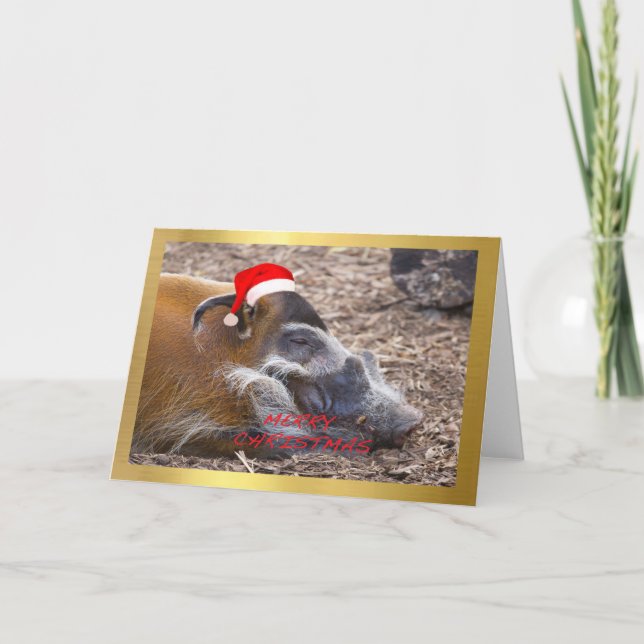 Cartes Pour Fêtes Annuelles "Cute Warthog" design Christmas card (Devant)