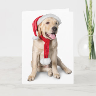 Cartes Pour Fêtes Annuelles Cute Yellow Lab avec les congés du travail de Sant
