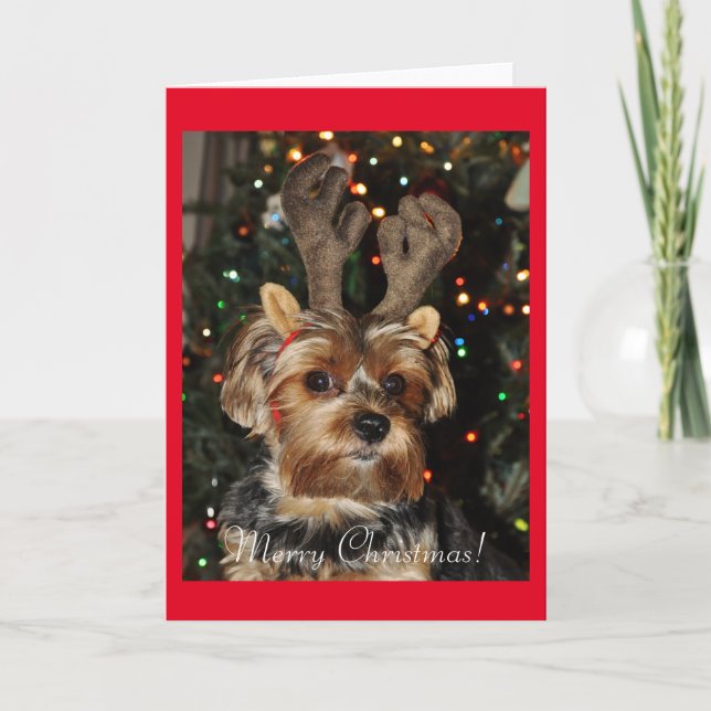Cartes Pour Fêtes Annuelles Cute Yorkshire Terrier avec Antlers Reindeer (Devant)