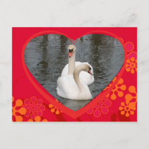 Cartes Pour Fêtes Annuelles cygnes de valentine