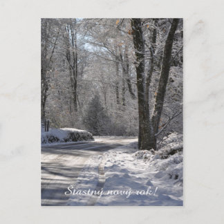 Cartes Pour Fêtes Annuelles Czech Happy New Year postcard