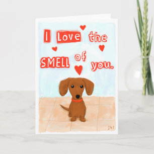 Cartes Pour Fêtes Annuelles Dachshund Amour Amour Saint Valentin Coeurs Chien
