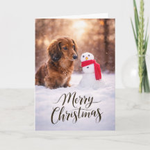 Dachshund Bonhomme de Neige de Noël