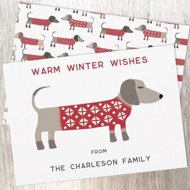 Cartes Pour Fêtes Annuelles Dachshund Chien Amusement  (Dachshund Sausage or Wiener Dog in red and white cosy knitwear for a fun Christmas holiday card)