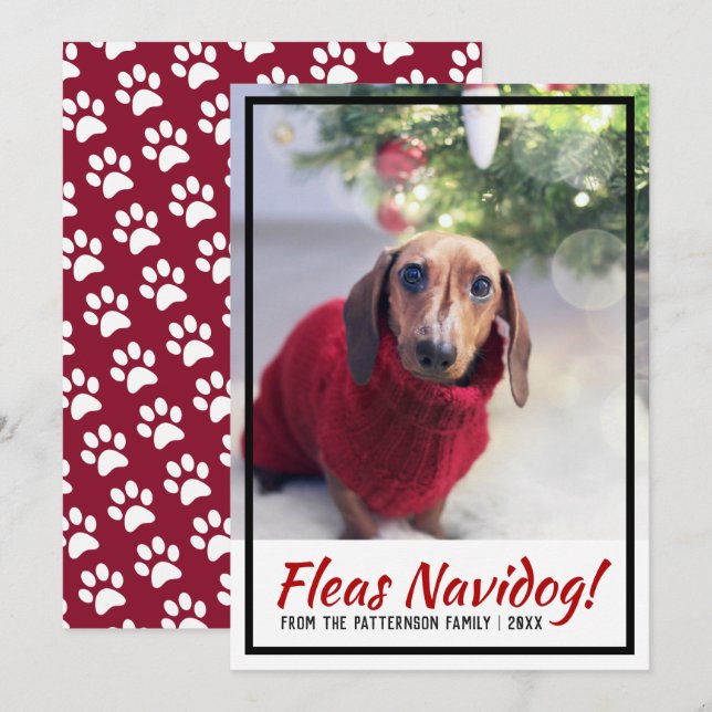 Cartes Pour Fêtes Annuelles Dachshund Chien Photo Empreinte de patte Christmas (Devant / Derrière)