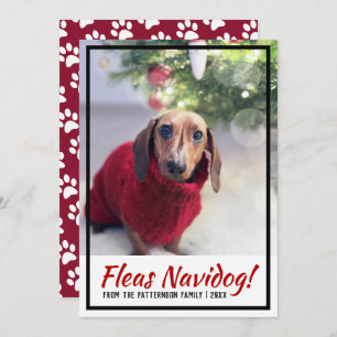 Cartes Pour Fêtes Annuelles Dachshund Chien Photo Empreinte de patte Christmas