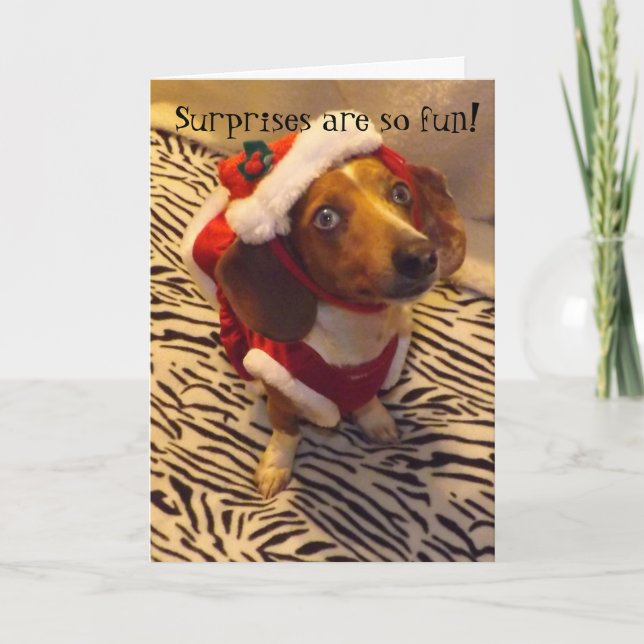 Cartes Pour Fêtes Annuelles Dachshund Christmas Card (Devant)