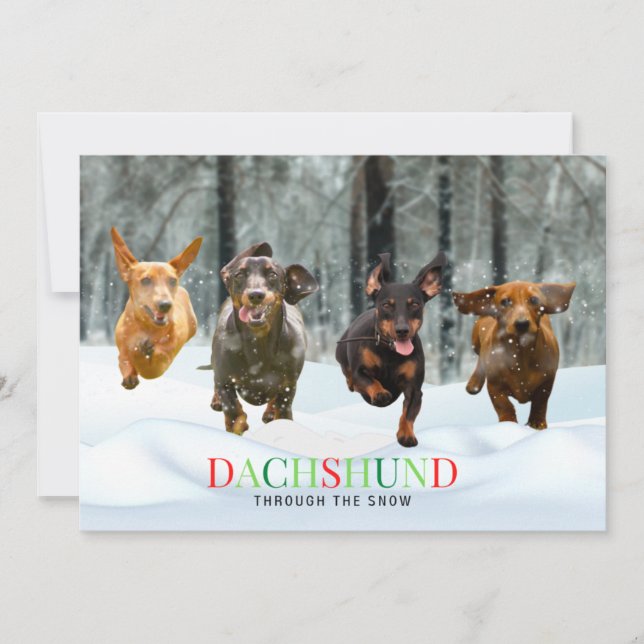 Cartes Pour Fêtes Annuelles Dachshund dans la neige 4 chiens drôles en course (Devant)