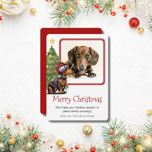 Cartes Pour Fêtes Annuelles Dachshund et sapin de Noël Animal de compagnie Chi