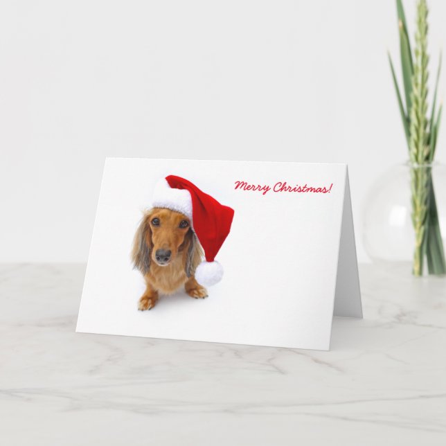 Cartes Pour Fêtes Annuelles dachshund père Noël (Devant)
