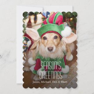 Cartes Pour Fêtes Annuelles Dachshund portant le costume d'elfe père Noël