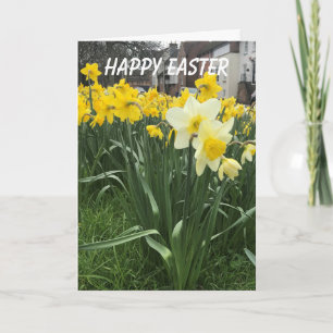 Cartes Pour Fêtes Annuelles Daffodiles colorés Pâques