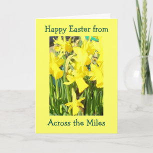 Cartes Pour Fêtes Annuelles Daffodiles De Pâques Sur Les Miles