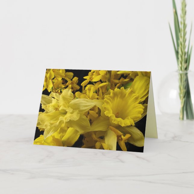 Cartes Pour Fêtes Annuelles Daffodiles et Forsythia Pâques (Devant)
