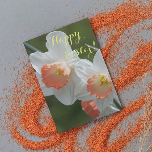 Cartes Pour Fêtes Annuelles Daffodiles orange et blanc Pâques florales (In Situ)
