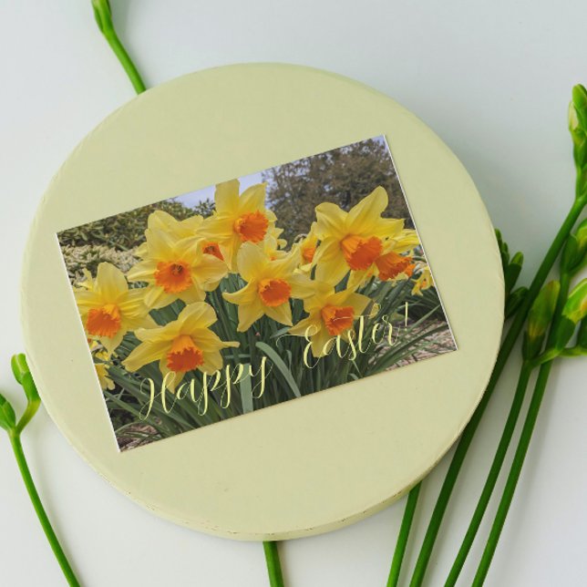 Cartes Pour Fêtes Annuelles Daffodiles orange et jaune Pâques florales (In Situ)