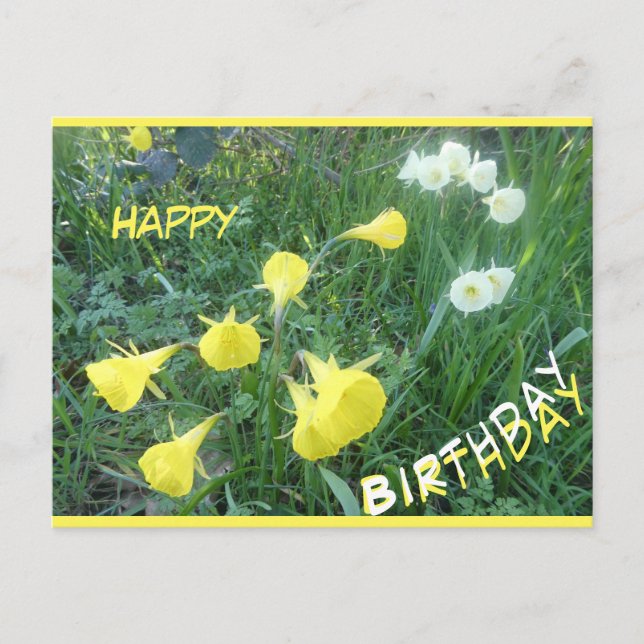 Cartes Pour Fêtes Annuelles Daffodils Arctic Bells Happy Birthday Postcard (Devant)
