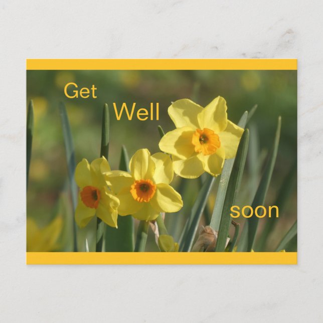Cartes Pour Fêtes Annuelles Daffodils Yellow Orange Cust. Get Well Postcard (Devant)