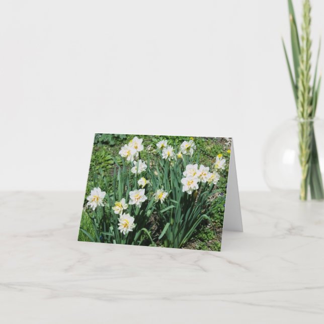Cartes Pour Fêtes Annuelles Daffodiques (Devant)