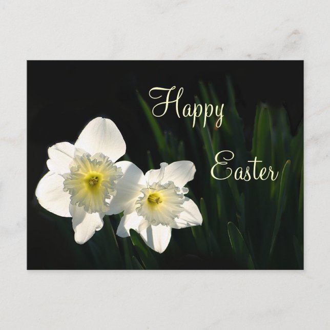 Cartes Pour Fêtes Annuelles Daffodiques de Pâques (Devant)
