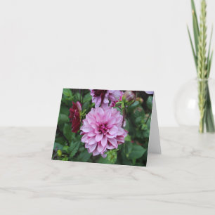 Cartes Pour Fêtes Annuelles Daliha du jardin pourpre en pleine floraison
