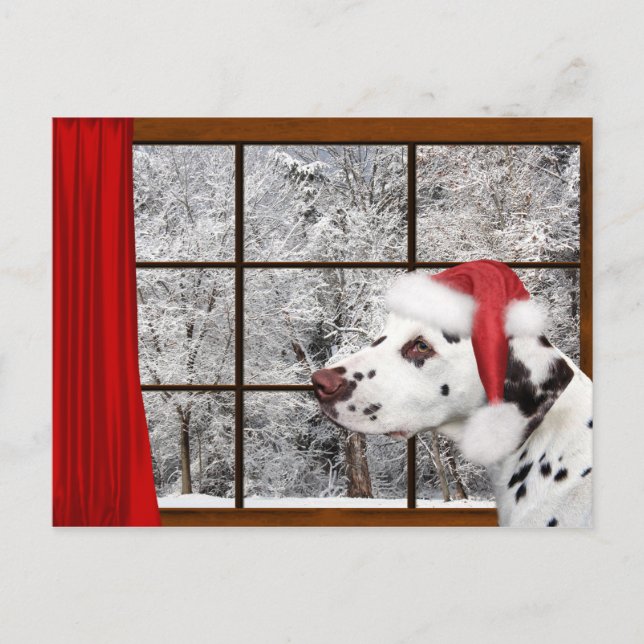 Cartes Pour Fêtes Annuelles Dalmate de Noël (Devant)