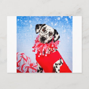Cartes Pour Fêtes Annuelles Dalmatie de Noël