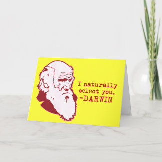 Cartes Pour Fêtes Annuelles Darwin