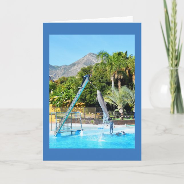 Cartes Pour Fêtes Annuelles Dauphin (Devant)