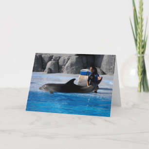 Cartes Pour Fêtes Annuelles Dauphin et dresseur en Espagne