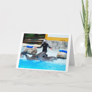 Cartes Pour Fêtes Annuelles Dauphins saluent l'entraîneur