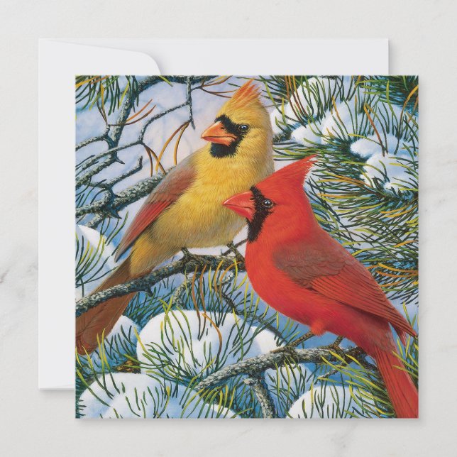 Cartes Pour Fêtes Annuelles De beaux cardinaux rouges chic et neige Noël (Devant)