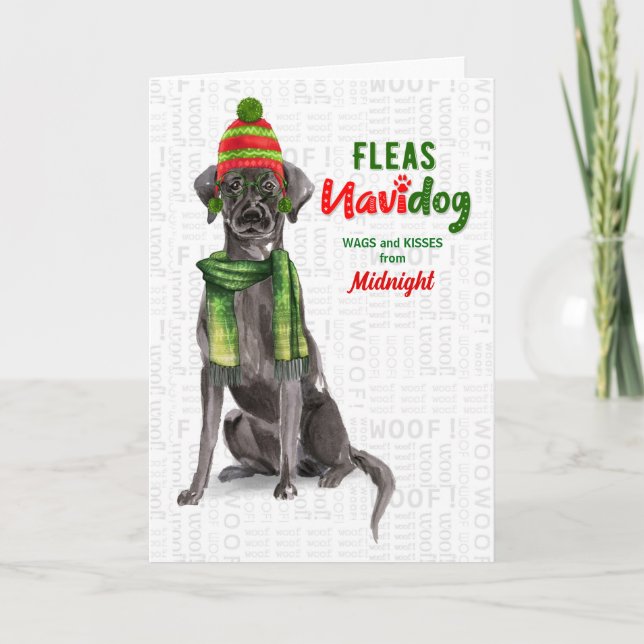 Cartes Pour Fêtes Annuelles de Dog Black Lab Fleas Navidog Noël (Devant)