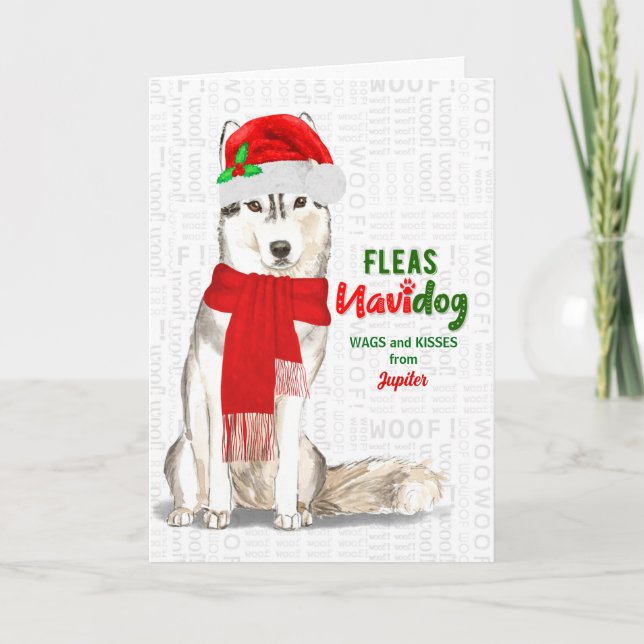 Cartes Pour Fêtes Annuelles de Dog Cute Siberian Husky Christmas (Devant)