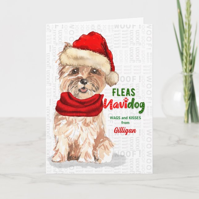 Cartes Pour Fêtes Annuelles de Dog Funny Cairn Terrier Noël (Devant)