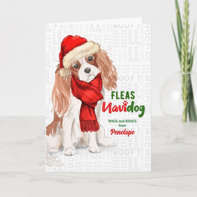 Cartes Pour Fêtes Annuelles de Dog Funny Cavalier King Charles Noël (Devant)
