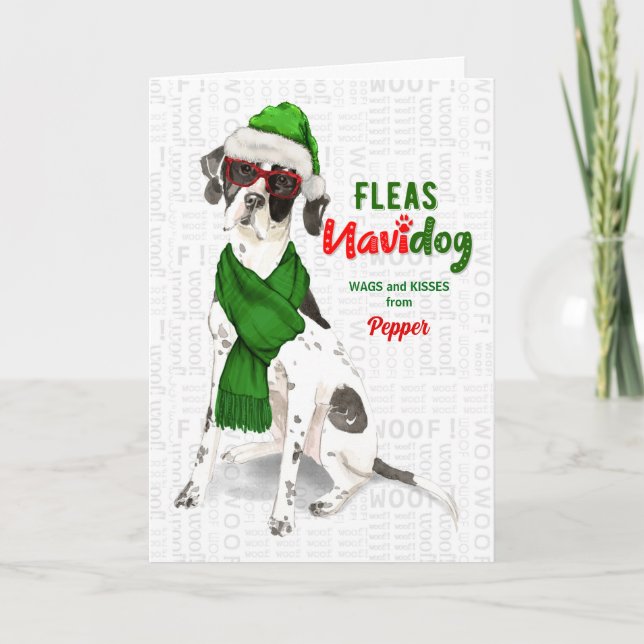 Cartes Pour Fêtes Annuelles de Dog Funny Pointer anglais Noël (Devant)