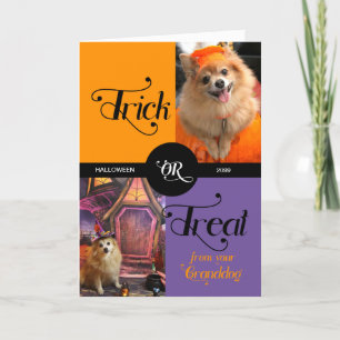 Cartes Pour Fêtes Annuelles de GRANDDOG Trick or Treat Halloween Deux photos