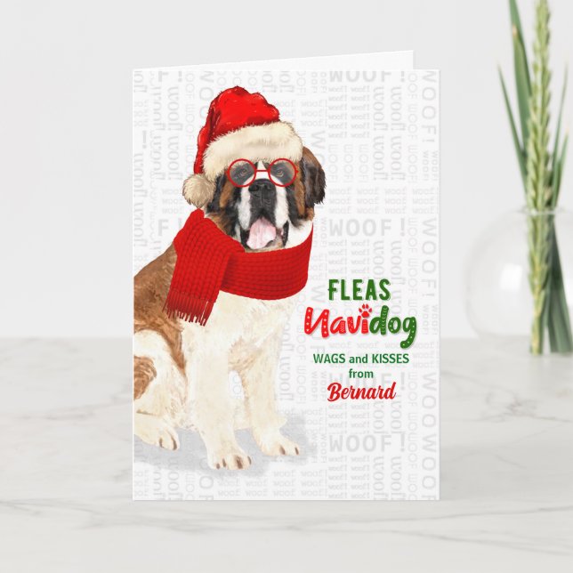 Cartes Pour Fêtes Annuelles de la mignonne de chien Saint Bernard Noël (Devant)