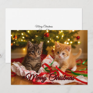 Cartes Pour Fêtes Annuelles De mignons chatons sous l'arbre de Noël