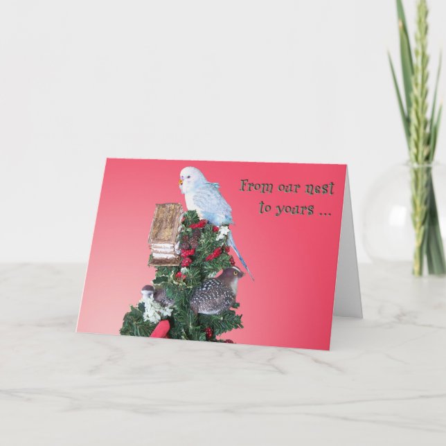 Cartes Pour Fêtes Annuelles De NOTRE nid (Devant)