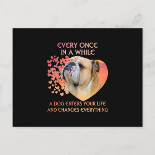 Cartes Pour Fêtes Annuelles De temps en temps, un chien entre dans votre vie B