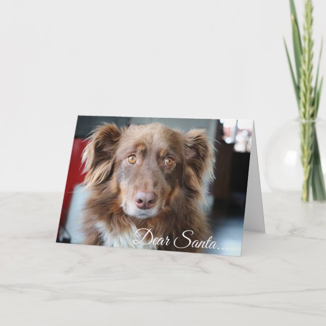 Cartes Pour Fêtes Annuelles Dear Santa, Define Naughty Funny Christmas Card (Devant)