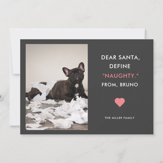 Cartes Pour Fêtes Annuelles Dear Santa Define Naughty Funny Pet Photo (Devant)