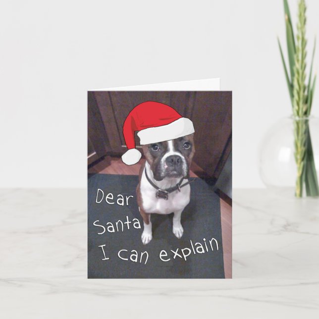 Cartes Pour Fêtes Annuelles Dear Santa I Can Explain (Devant)