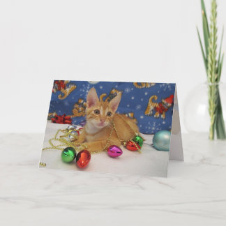 Cartes Pour Fêtes Annuelles Décor de vacances Jasper - Chat / Kitten Noël