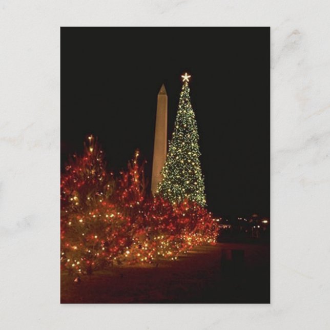 Cartes Pour Fêtes Annuelles Décorations de Noël au Washington DC Mall (Devant)